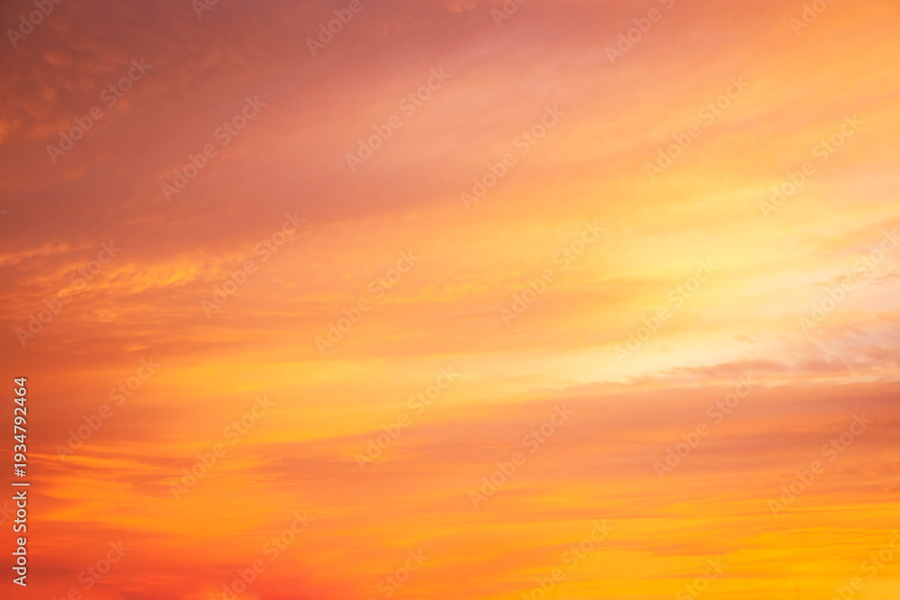 Fototapeta premium A winter sunrise sky painted with clouds colored orange, yellow, pink and purple, creating a dramatic scene just before the sun rises at dawn.