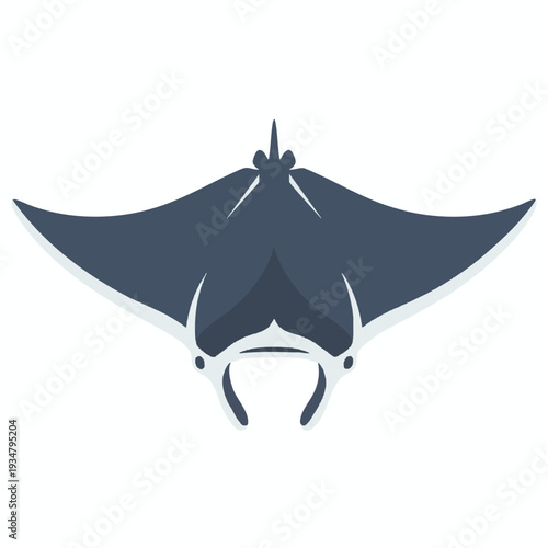 Elegant Manta Ray Gliding Through Clear Ocean Waters