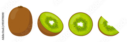 Selection of fresh tropical kiwis: whole, halved, sliced, and chopped. Flat vector illustration isolated on white background