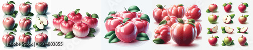 Water Apple Fruit Vector Illustration Collection
