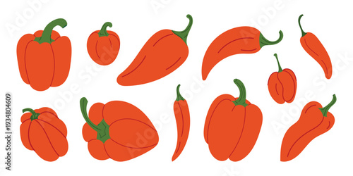 Pepper vegetable set with different sweet and hot peppers. Collection of bell pepper and chili in various shapes. Fresh farm vegetables. Flat vector illustration isolated on white background.
