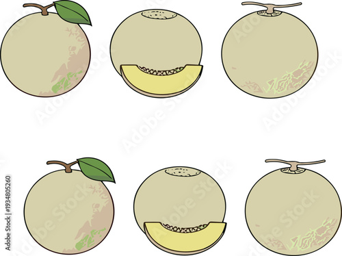 Hand Drawn Melon Fruit Collection Whole and Sliced Cantaloupe Vector Illustration Set Isolated on White Background