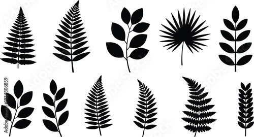 A set of vector line art leaf silhouettes in various shapes and sizes for design use silhouette