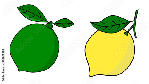 seamless citrus pattern, lemon slice isolated on white background, Freshness Orange Slice Frame, Fresh Orange Slice Illustration, orange vektor illustration, lime dan lemon vektor illustration.	