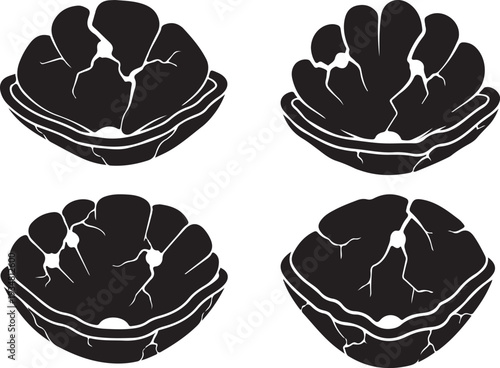 Abstract vector silhouettes of various cracked shell elements, showcasing natural decay textures for creative organic and distressed graphic compositions