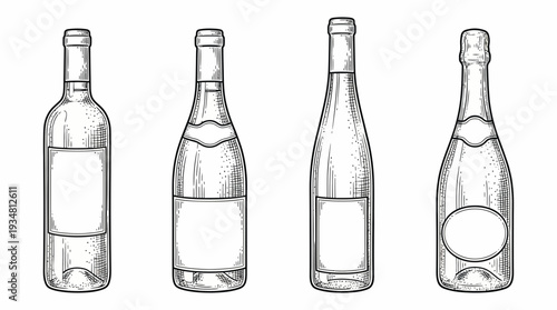 Set of Hand Drawn Wine and Champagne Bottles Vector Illustration