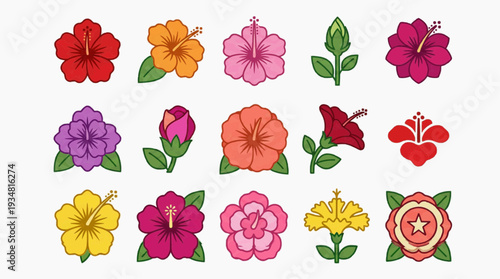 Various types of colorful hibiscus flowers in an illustrative flat lay arrangement. There's a wide range of colors and styles, showing their intricate details and shapes.