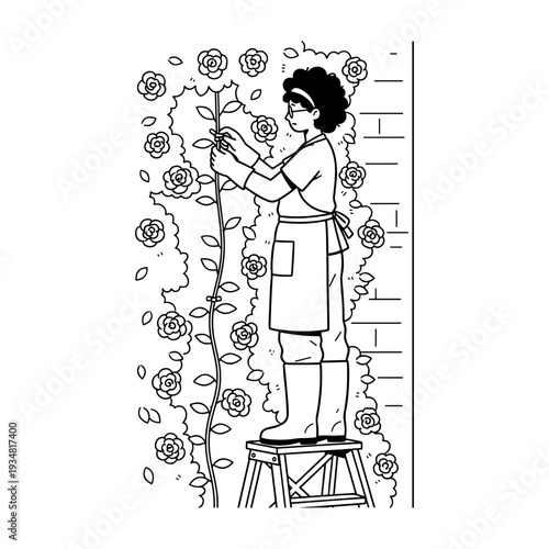Hand drawn illustration of a woman tying climbing rose vine to a wall