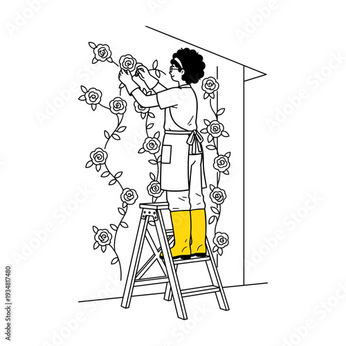 Hand drawn illustration of gardener on a ladder tending climbing roses on a wall