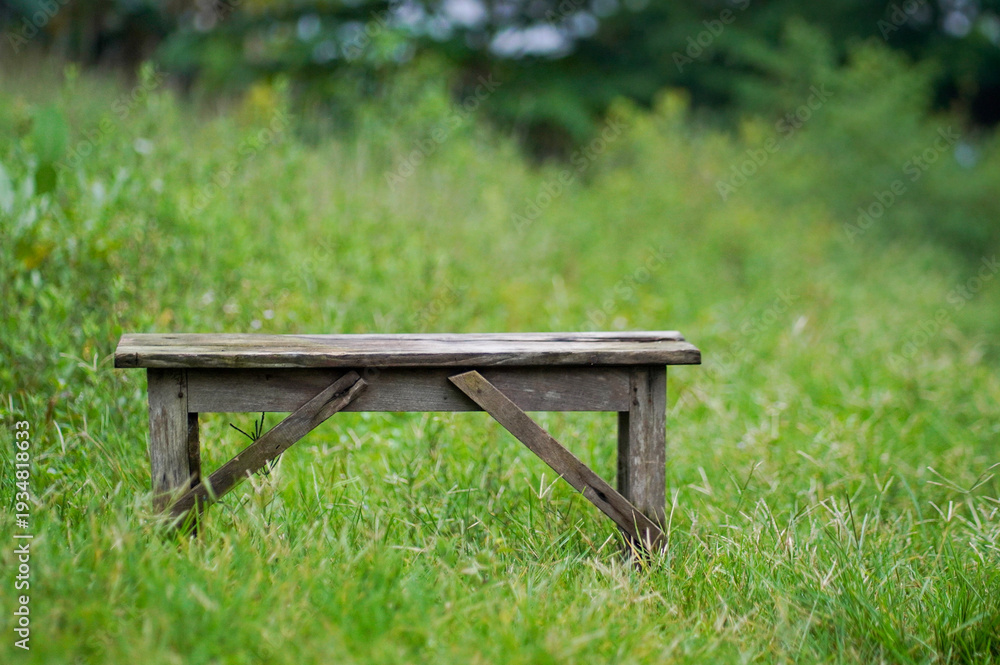 Fototapeta premium Old Weathered Wooden Bench in Lush Green Meadow with Bokeh Background