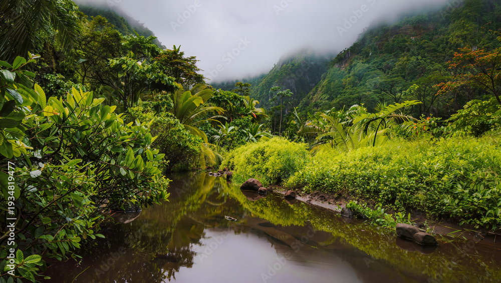Fototapeta premium Lush Green Tropical Valley With River And Fog