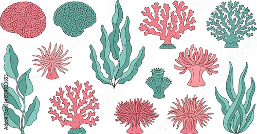 Undersea Coral Reef and Seaweed Collection in Flat Hand Drawn Illustration Style