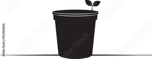 Simple black pot with small plant growing inside slowly