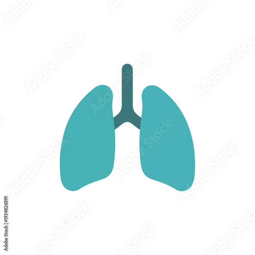A simple, flat vector illustration depicts the human lungs connected by a trachea and bronchi against a white background.