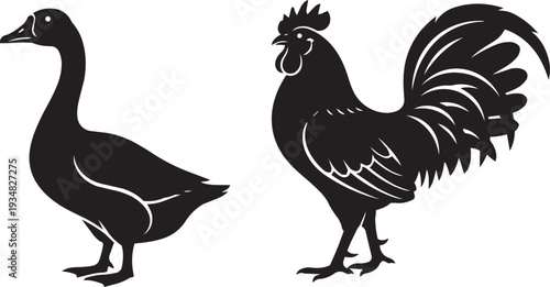 Contrasting silhouettes of a goose and a proud rooster, representing farm life and nature.