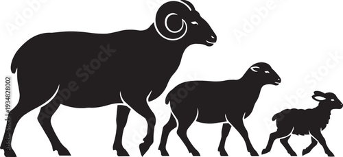 Three black silhouettes of sheep: ram with large horns, ewe, and lamb, walking in progression on a white background.