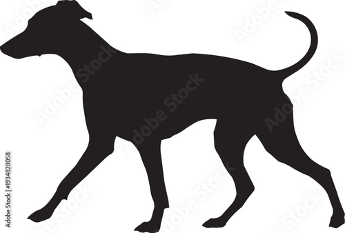 Sleek black silhouette of a slender dog, possibly a greyhound or whippet, in motion on a white background.