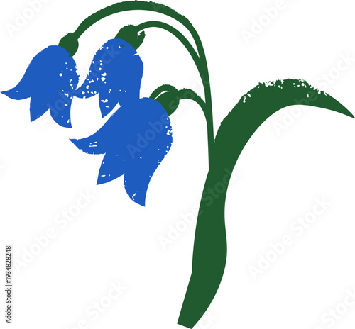 Bluebell Pair With Leaf Grunge Chalk