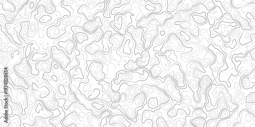 Gray abstract topographic map contours on white background texture pattern