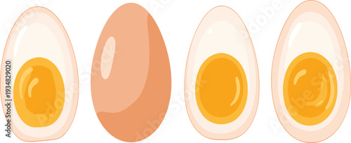 Boiled Egg Half and Whole Set with Yolk and White Isolated on Light Background for Food Illustration and Nutrition Design