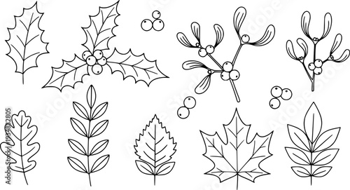 Simple botanical outline elements featuring various leaves and berries including traditional holly