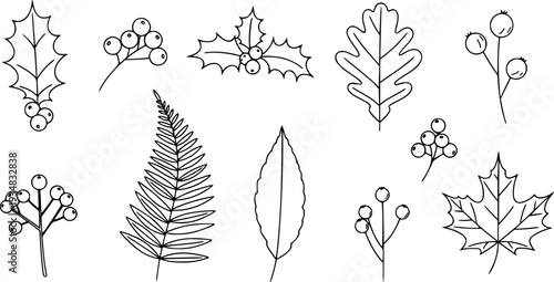 Simple botanical outline elements featuring various leaves and berries including traditional holly