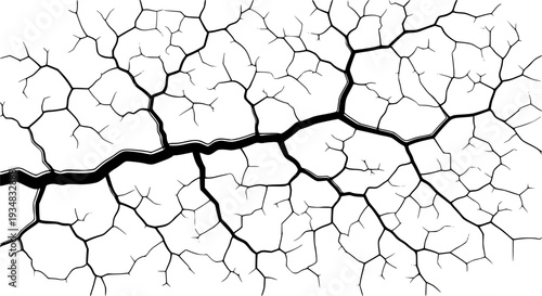 Rough black and white branching cracks resembling a dried riverbed or damaged ground