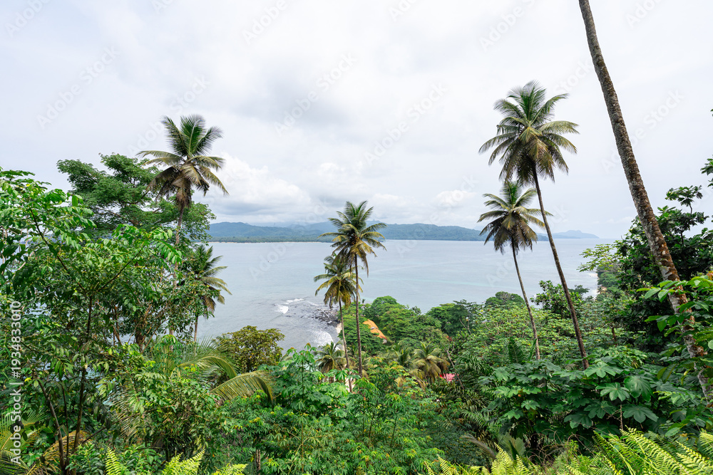 Naklejka premium A view through tropical palm trees and lush foliage looking across the ocean toward São Tomé Island from the equator island of Ilhéu das Rolas, São Tomé and Príncipe