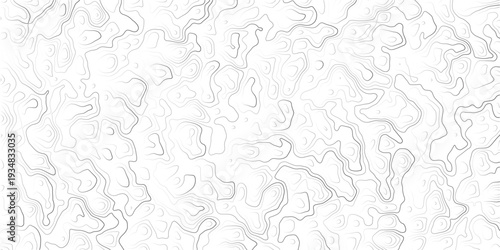 Gray wavy topographic map lines on white background texture pattern