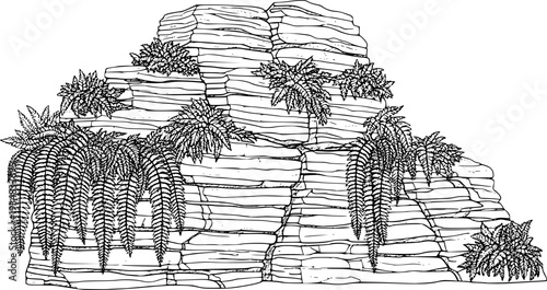 Natural rock formation covered with lush ferns