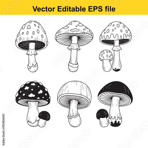 Mushroom Illustrations Set Hand Drawn Vector Elements - Editable EPS