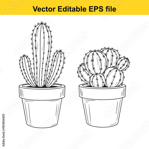 Cactus Illustration Set in Pots - Black and White