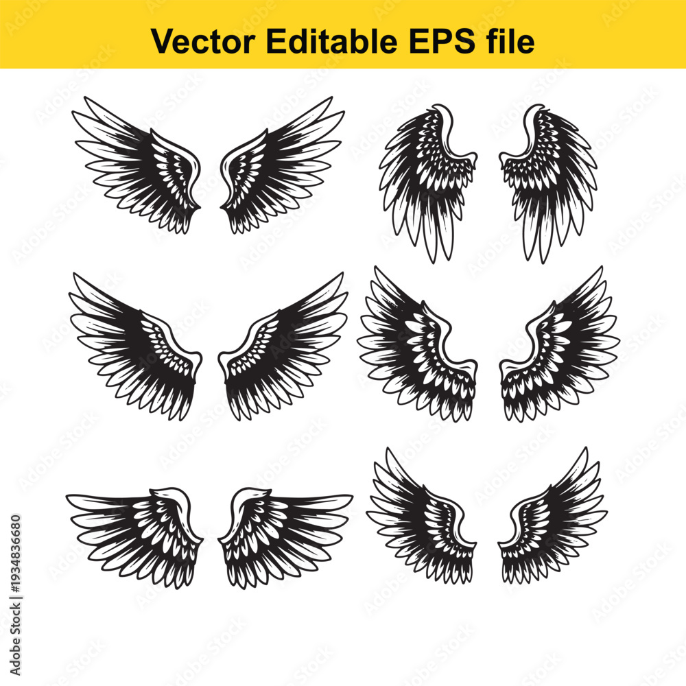 Obraz premium Black and White Wing Illustrations Set - Vector Graphics