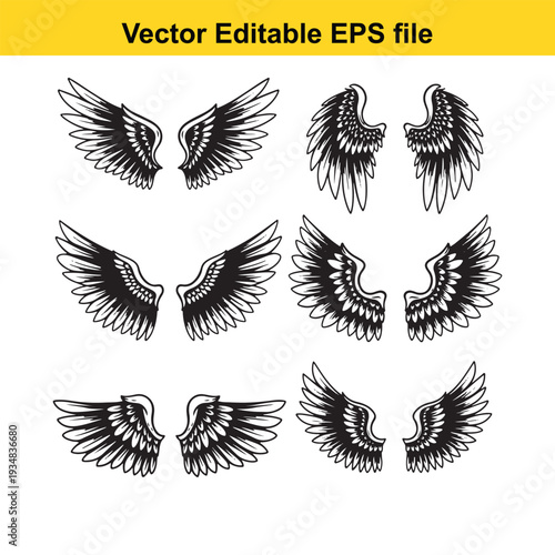 Black and White Wing Illustrations Set - Vector Graphics