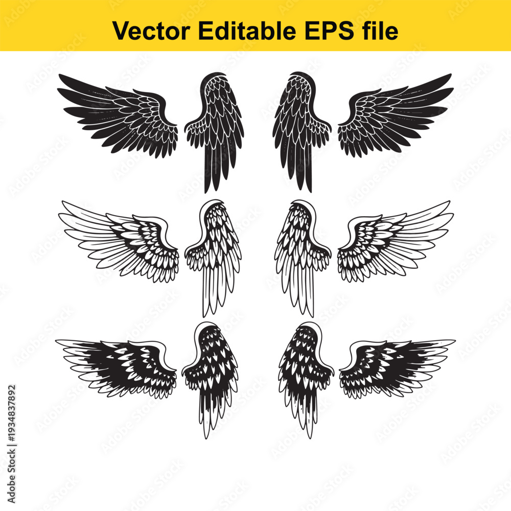 Obraz premium Black and White Wing Illustrations Set - Vector Graphics Collection
