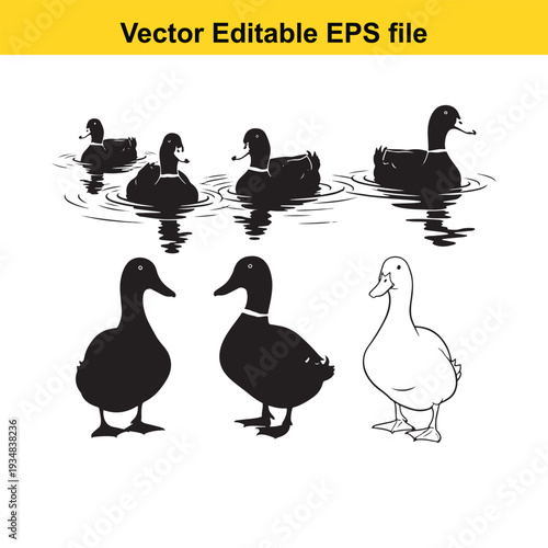 Duck Silhouette Collection Vector Illustration on White