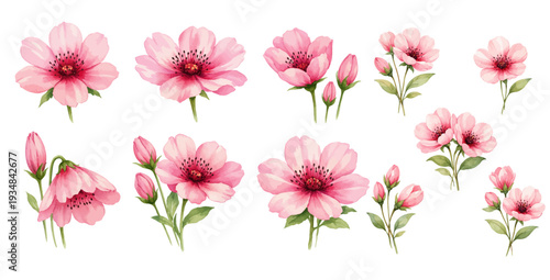 A charming watercolor collection of wild pink flowers and soft pink blossoms for wedding invitations and romantic stationery.