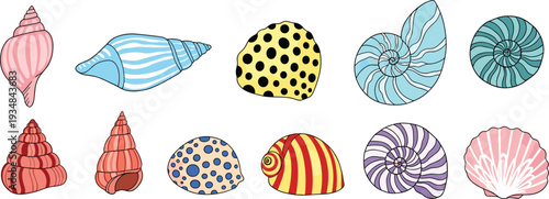Colorful seashell collection set, spiral ocean shells, scallop and conch marine elements vector illustration isolated