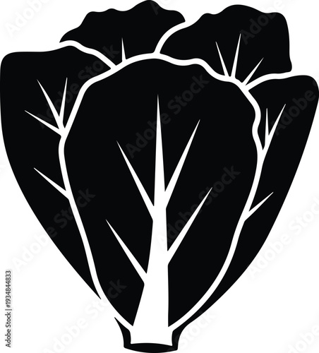 Silhouette of a fresh leafy napa cabbage plant vector illustration