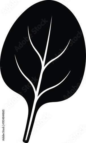 Silhouette of a fresh organic spinach leaf isolated on white vector illustration
