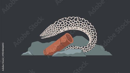 Moray eel underwater rocks pipe marine