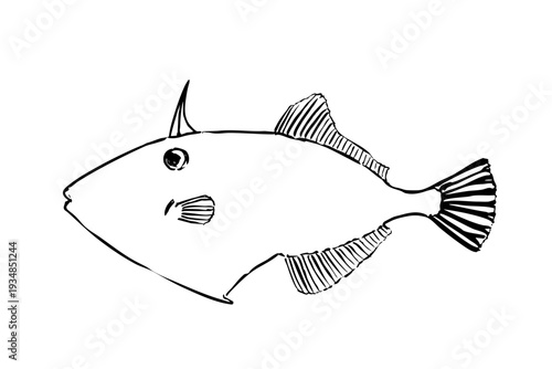 Kibire Kawahagi (Thread-sail Filefish) – Vector Line Art Illustration