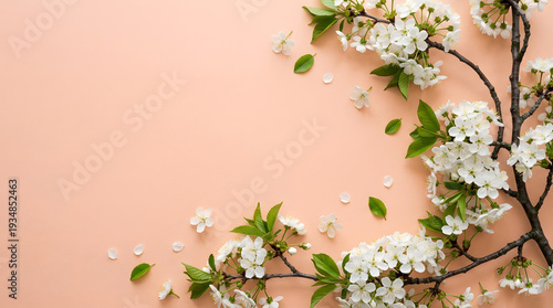 Delicate white blossoms on branches with fresh green leaves.