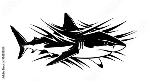 Black and White Shark Illustration Design.