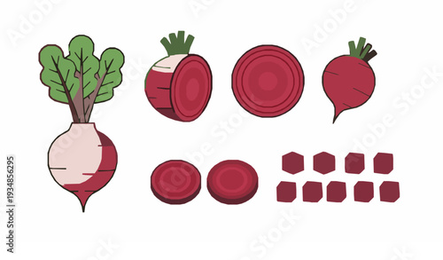 Minimal Beetroot Icon Set Whole Half Sliced and Cubed Vector