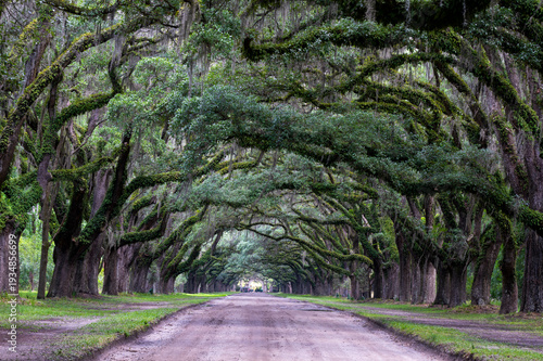 road in the park