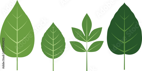  Collection of Green Leaf Icons with Different Shapes Natural Botanical Vector Illustration Set