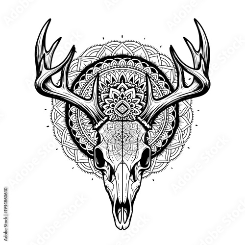 Deer skull silhouette, tattoo, geometric, mandala, black and white