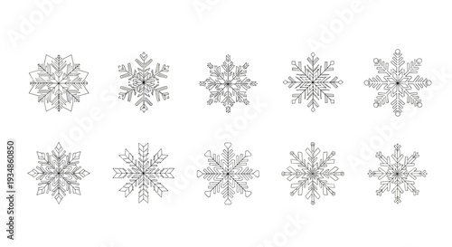 Set of ten detailed black and white snowflake icons with various geometric patterns for winter holiday season designs.