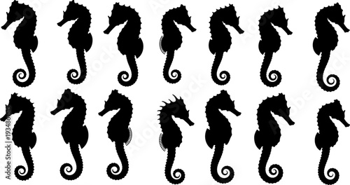 Seahorse silhouettes set, marine animal collection, ocean wildlife shapes, aquatic creature poses, black vector illustration isolated on white background